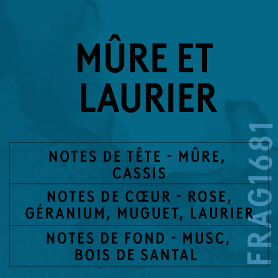 Parfum Mûre & Laurier (Concentré)