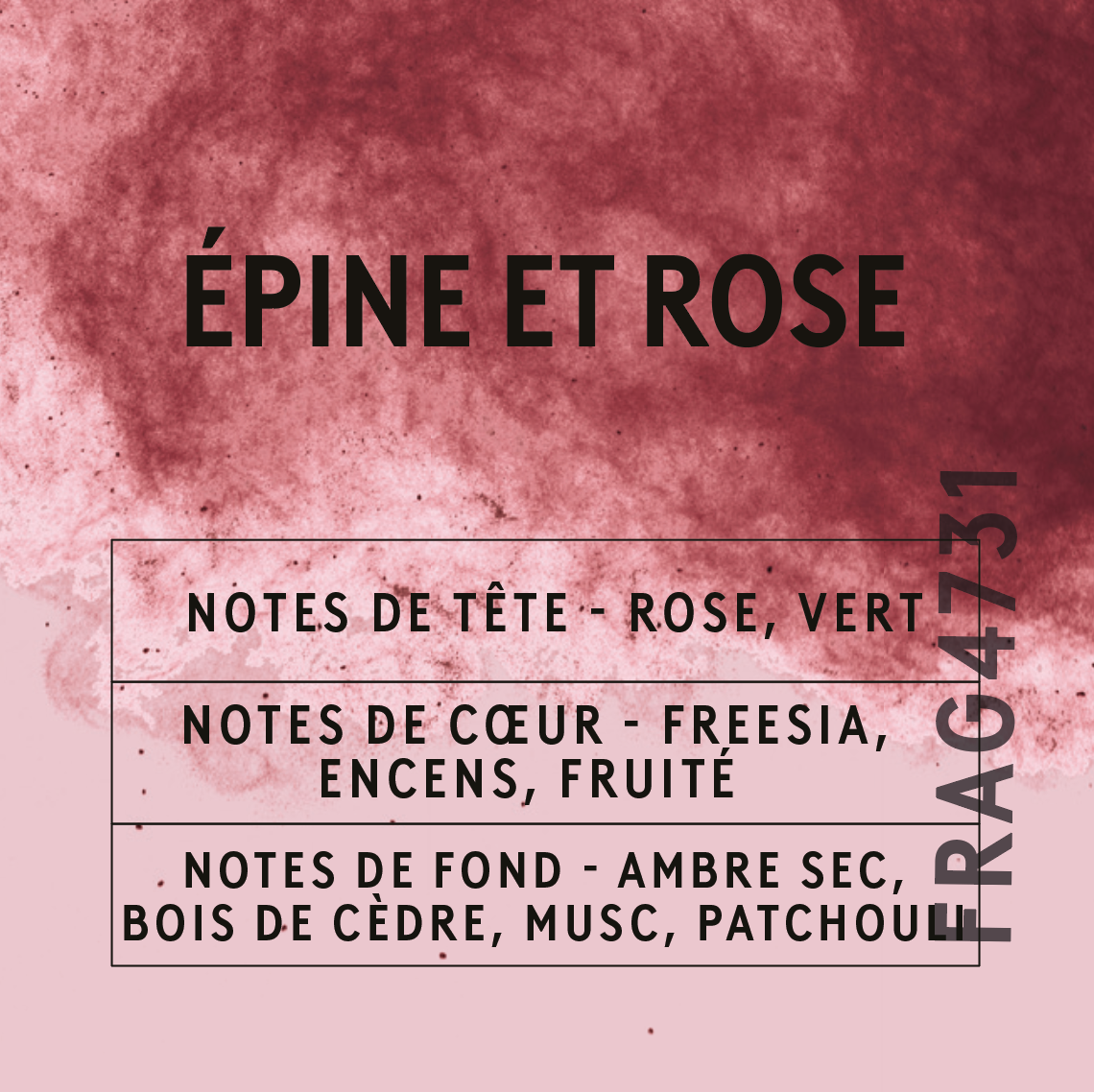 Notes du parfum Épine & Rose