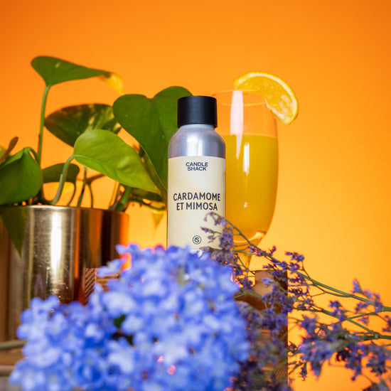 Parfum Cardamome Et Mimosa (Concentré)