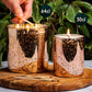 Candle Shack Candle Jar 30cl Ebony Luxury Candle Jar - Electroplated Copper (box of 6)